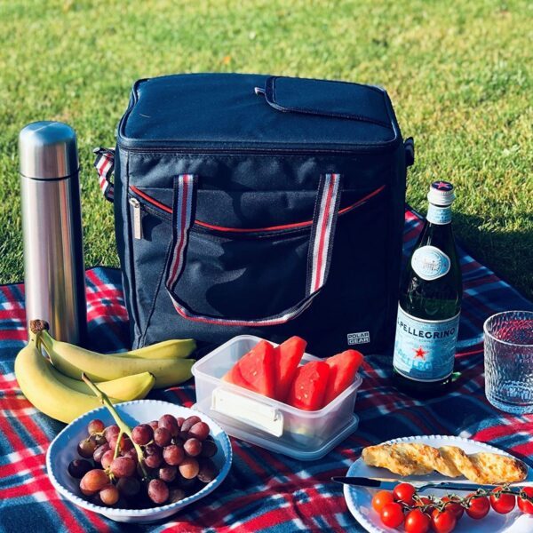 polar gear cool bag best for family picnic