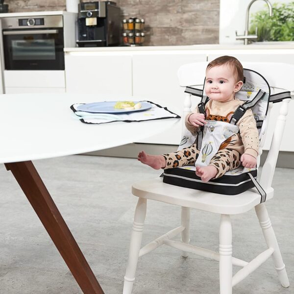 Booster Seat & Place mat Balloons
