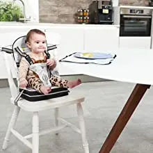 Childs Booster Seat With Placemat